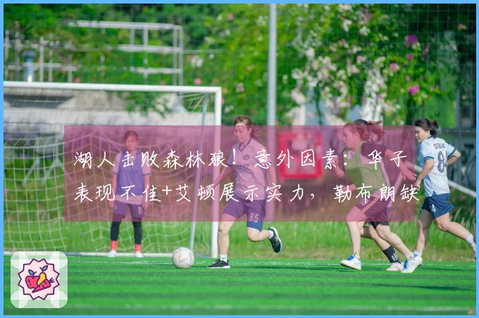 湖人击败森林狼！意外因素：华子表现不佳+艾顿展示实力，勒布朗缺阵反而取得三连胜